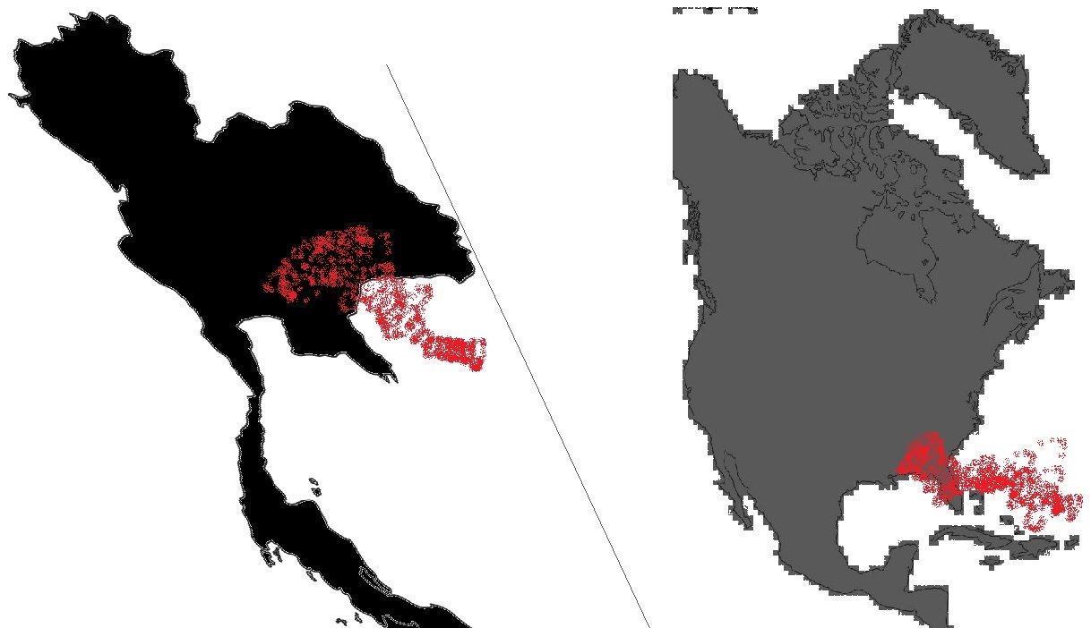 198958124_samasama.jpg.8c55b5eed65003ab7de872ba7d102454.jpg