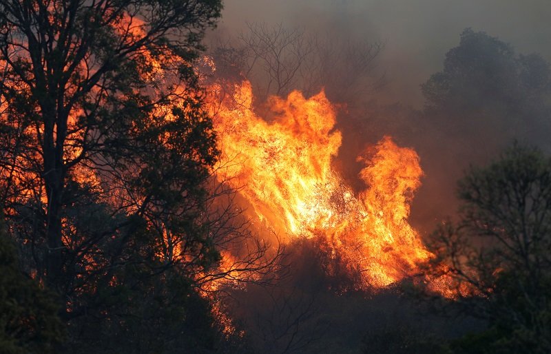 2019-09-07T040933Z_1_LYNXNPEF8606Q_RTROPTP_4_AUSTRALIA-BUSHFIRE.JPG