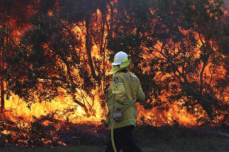 2019-09-10T034919Z_1_LYNXNPEF8907L_RTROPTP_4_AUSTRALIA-BUSHFIRES.JPG