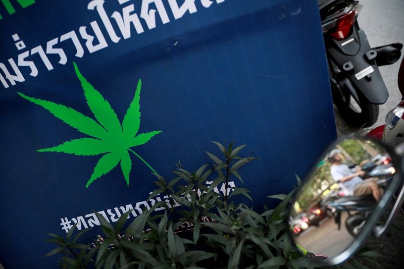 2019-09-13T100240Z_1_LYNXNPEF8C0RV_RTROPTP_4_THAILAND-CANNABIS.JPG