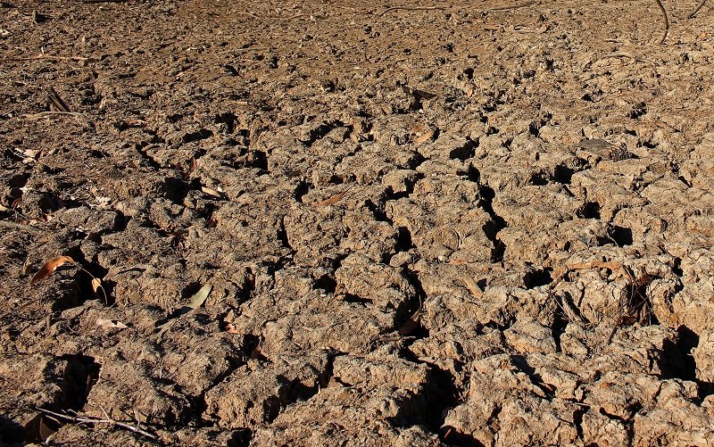 2019-09-27T210534Z_1_LYNXMPEF8Q1TZ_RTROPTP_4_AUSTRALIA-DROUGHT.JPG