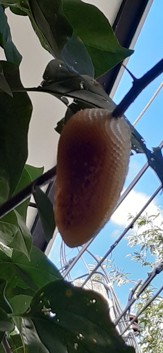 20190912_161601.jpg
