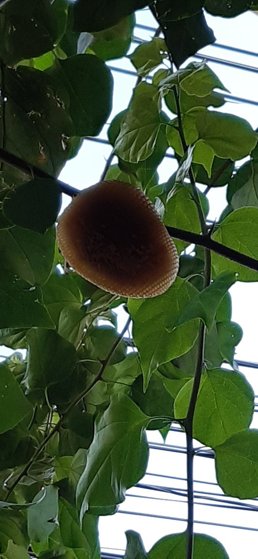 20190912_161634.jpg