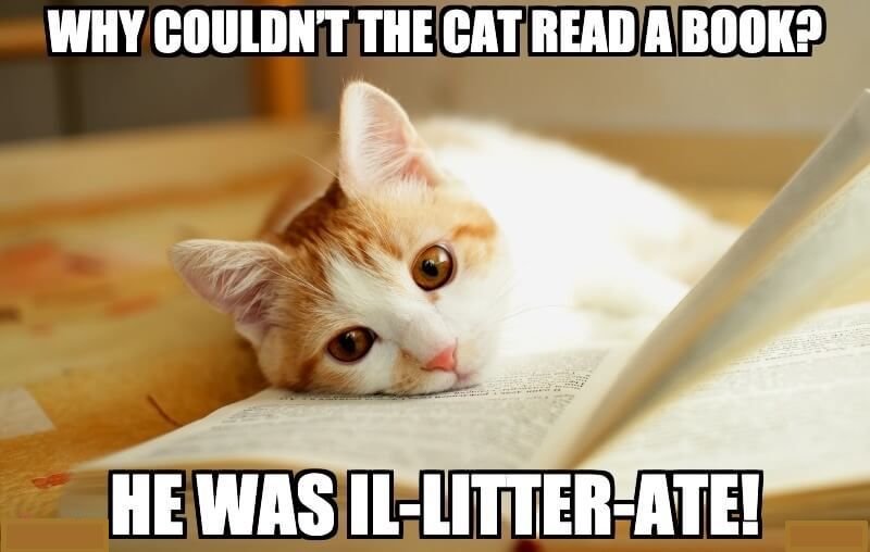 244538354_Why-couldnt-the-cat-read-a-book-He-was-il-litter-ate.jpg.c7c7a10c50f3b9c47e5f900e4b3d5bb4.jpg