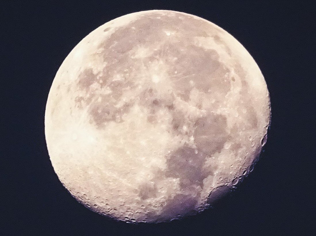 843414758_DSC04932_edited(2)a.jpg.21f82de98451df208f8fb64ce0c620ad.jpg