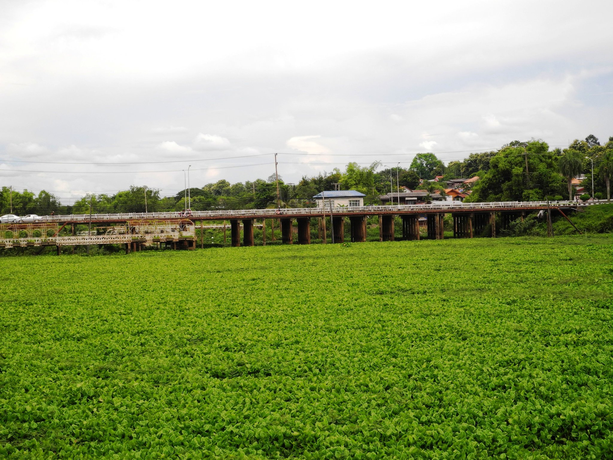 DSCN0167.JPG