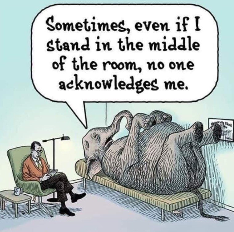 ElephantInRoomSyndrome.JPG.65ccf2c33f556d647cbcfb63bb980dc0.JPG