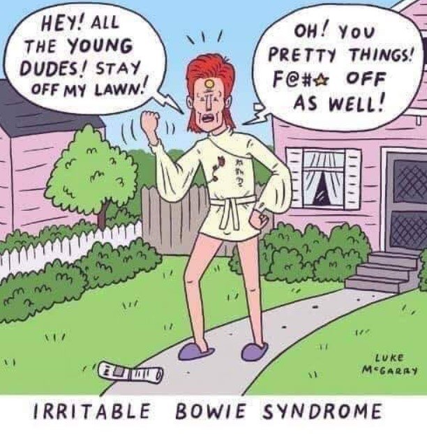 IBS.JPG.448348229708a19d0074b834325f7f93.JPG