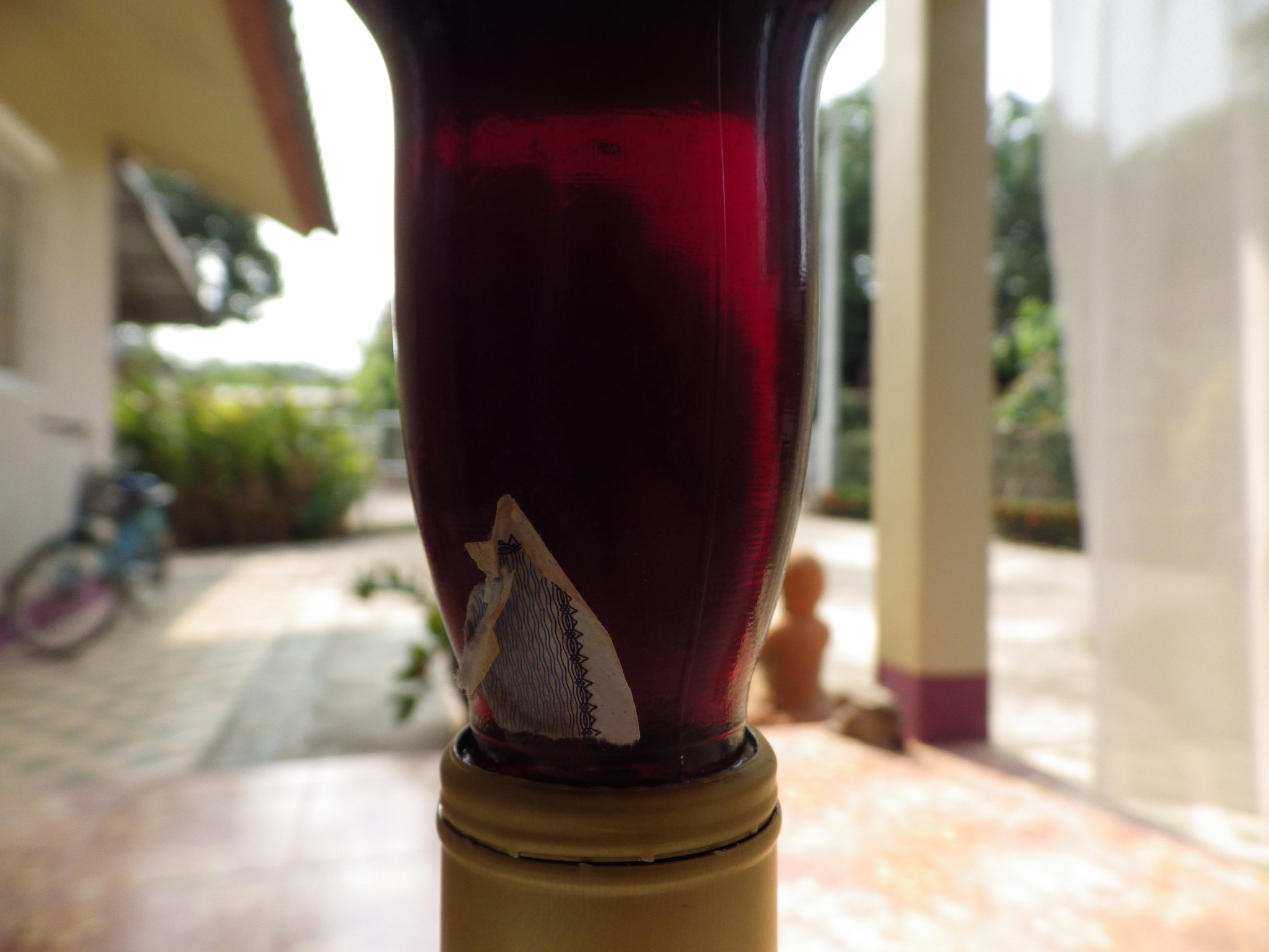 IMGP1534.JPG