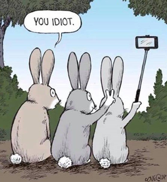 RabbitEars.JPG.b5a340a0d3fbf1434dae6c96d399162e.JPG