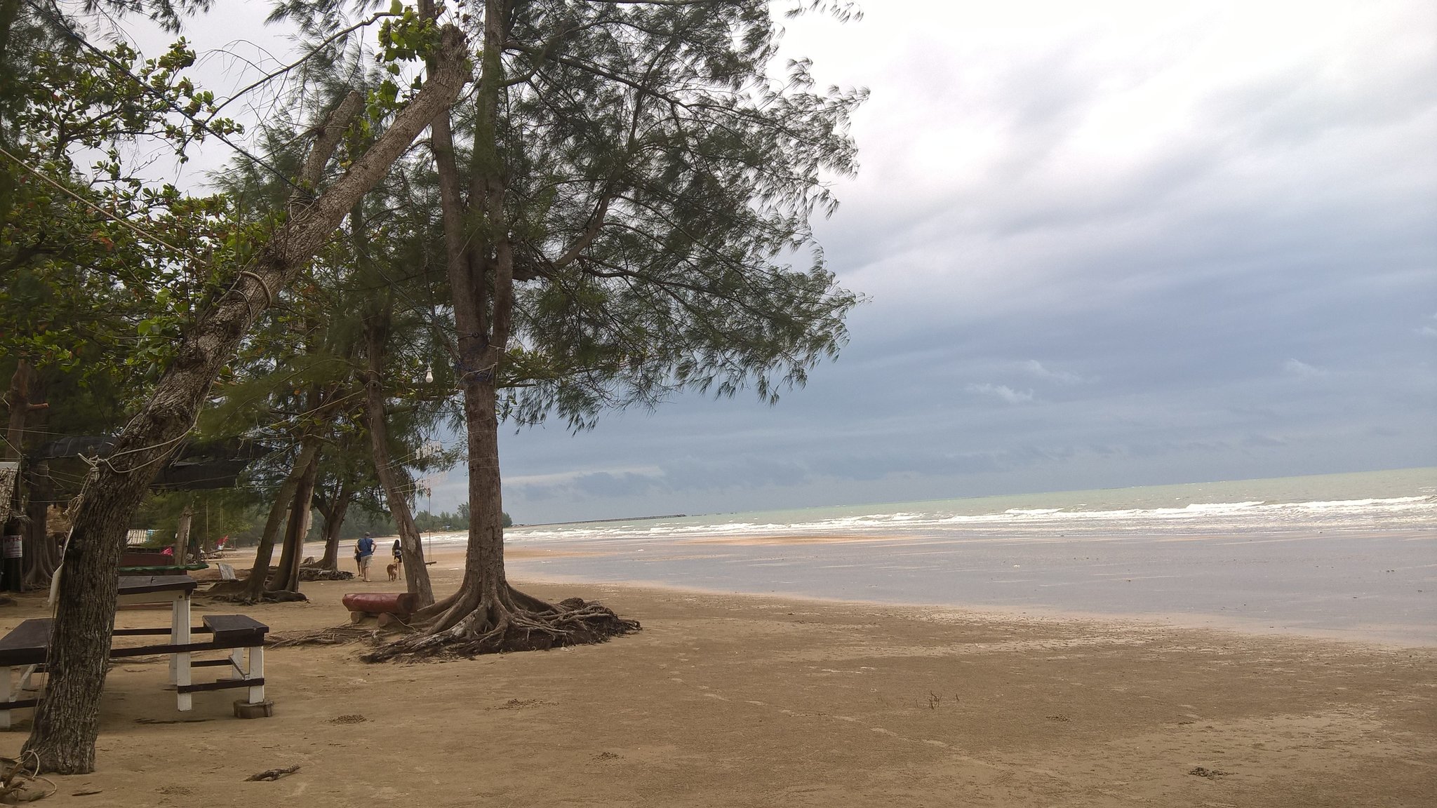 WP_20190813_10_47_36_Pro.jpg