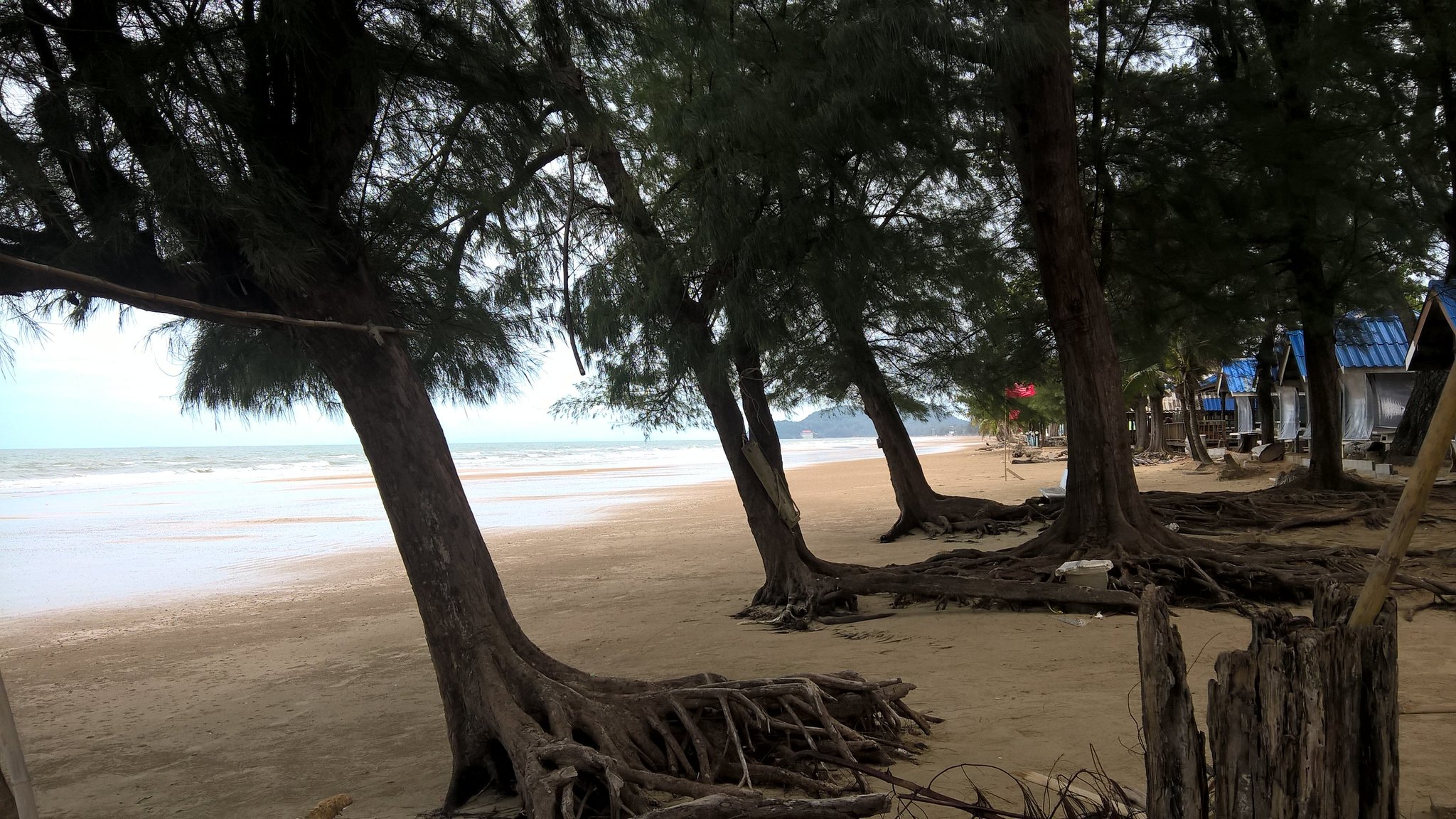 WP_20190813_10_47_59_Pro.jpg