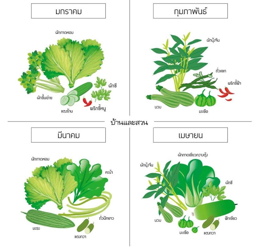 baanlaesuan_thai_garden_calendar_1.jpg.4b49d11cdb16a8e924c3678f88342a22.jpg