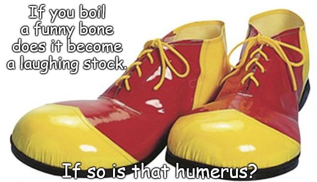 bone.jpg.503aea75049592bdaff4049f9f522515.jpg