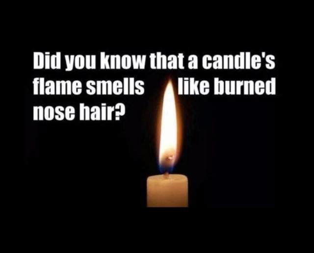 candle.jpg.64c143a9b5c5a1b3d76b55725cbd47ad.jpg