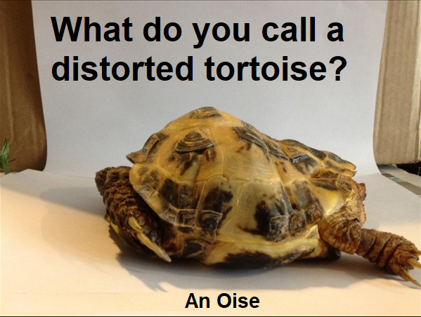 image.png.23eac329667851f694a8626351903d6d.png