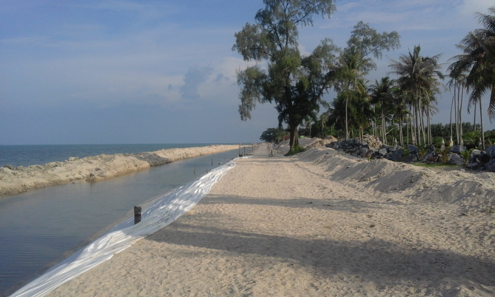 seawall.jpg