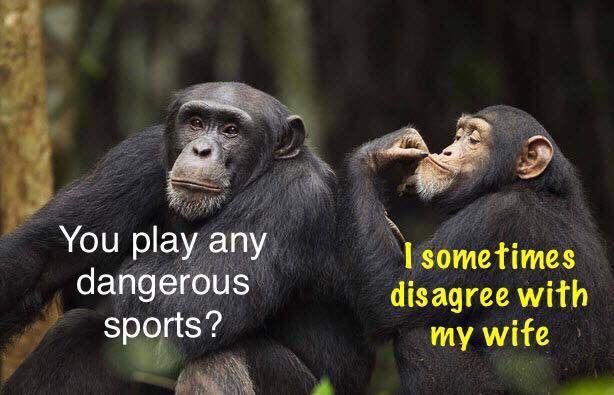 sport.jpg.279d7ad3e0d2f0f1e287dffa7f5df4ba.jpg