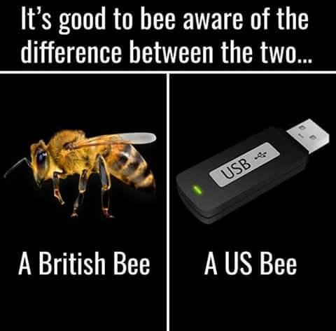 usb.jpg.fb2fd11560721f46ae3b2f34b33f38a9.jpg