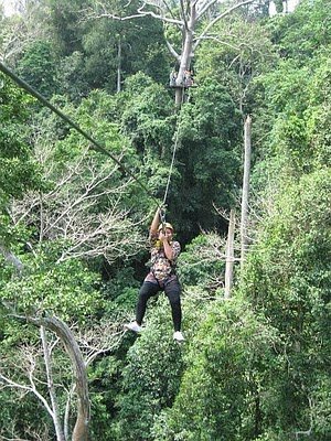 1220274406_ziplining.jpg.1f603946253df48e961ee4632cabcc57.jpg