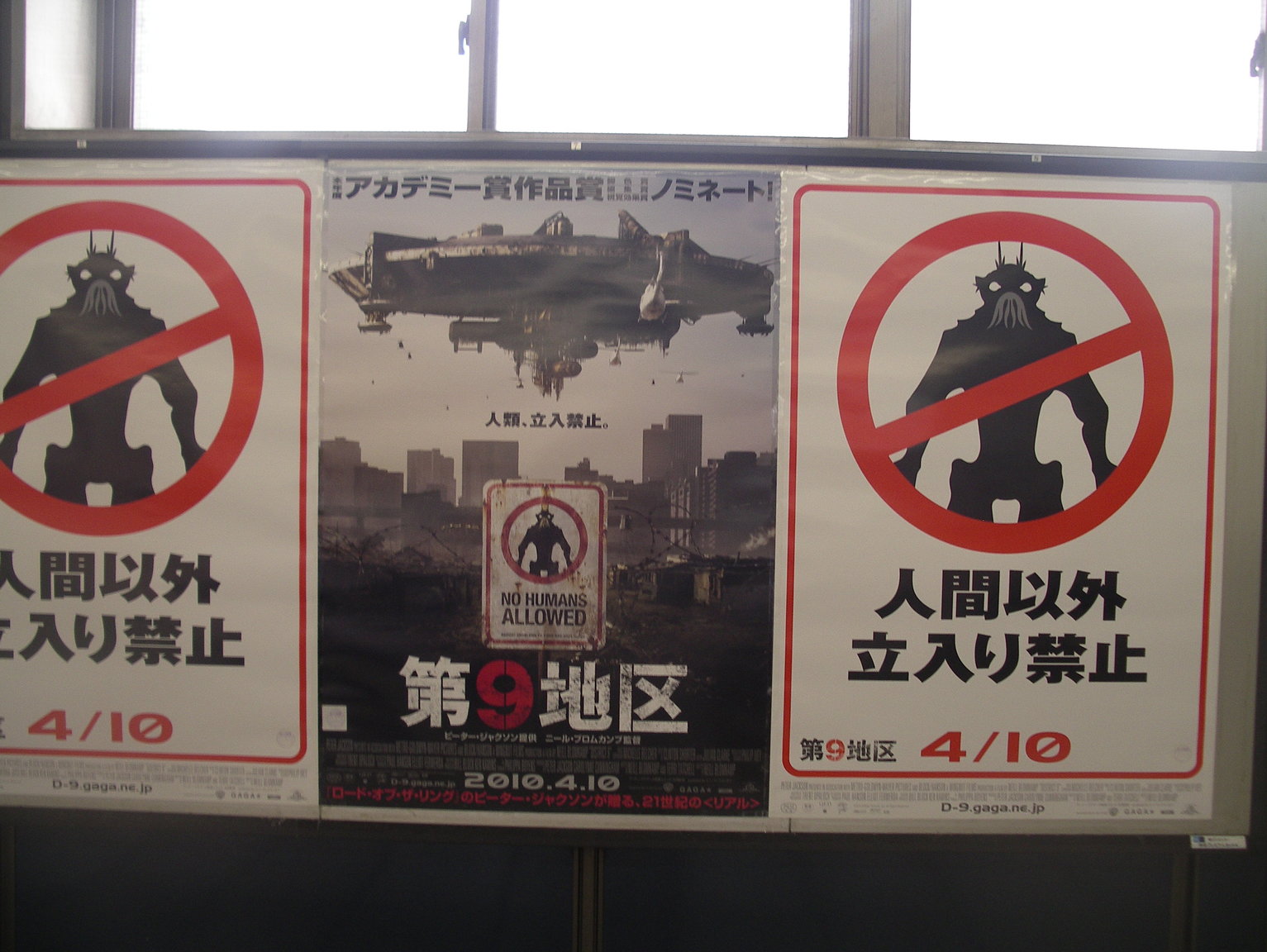 miamiandjapan2010 022.JPG