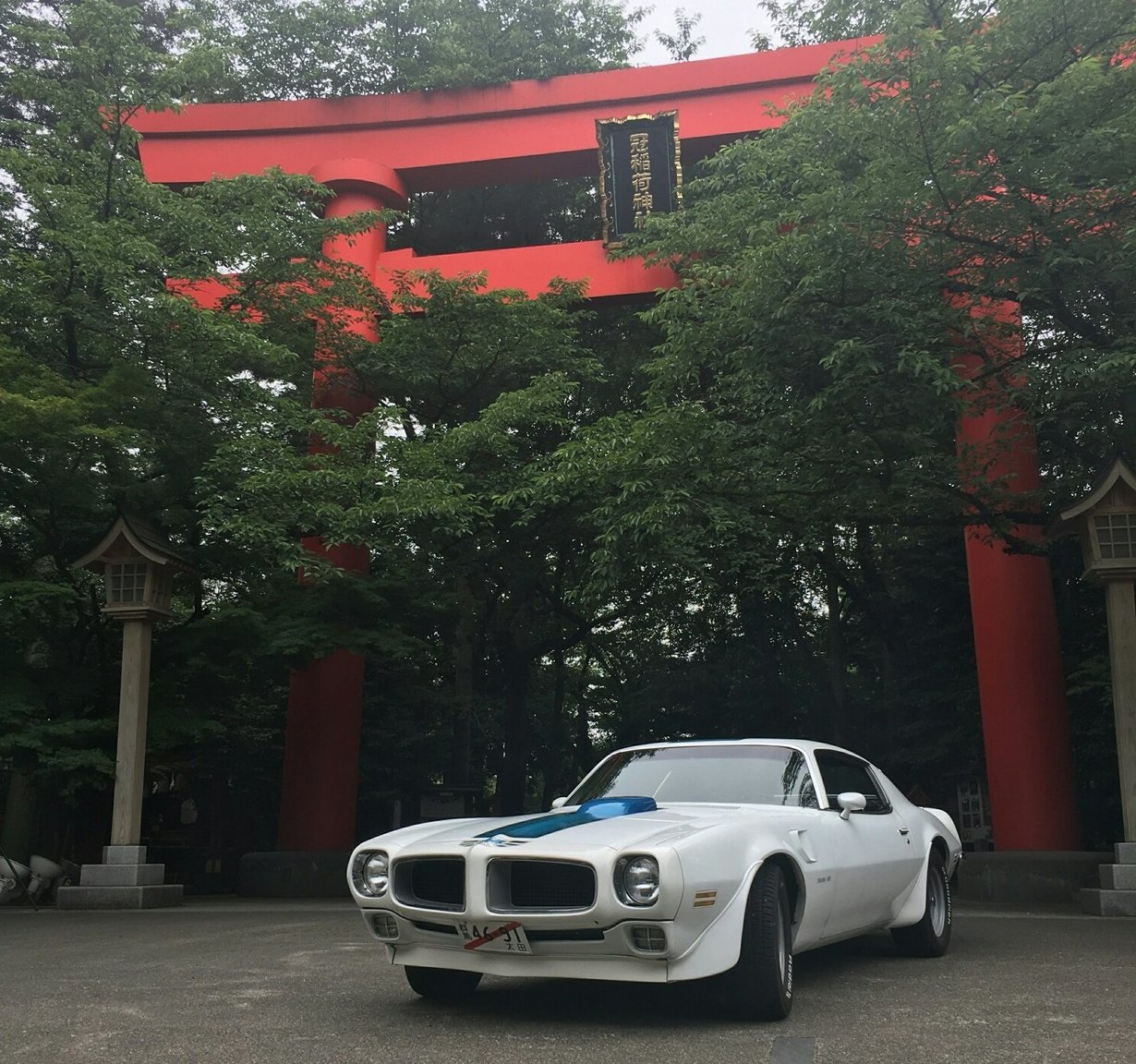 ED TRANSAM 2_resized.jpg