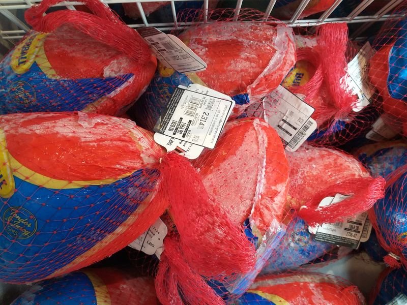 1666294678_CenChidTurkeys2019c.jpg.e30e34841dbd7b65f8b1ff4230045a49.jpg