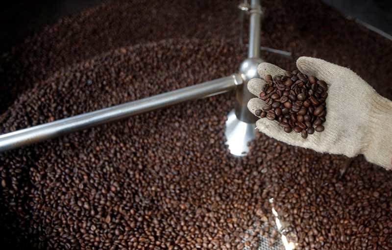 2019-10-03T084434Z_1_LYNXMPEF920KI_RTROPTP_4_VIETNAM-COFFEE.JPG