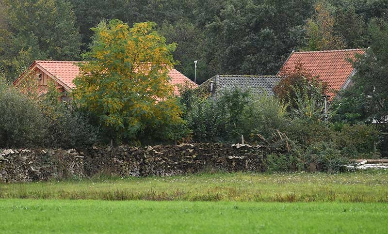 2019-10-15T155034Z_2_LYNXMPEF9E1BV_RTROPTP_4_NETHERLANDS-FAMILY.JPG