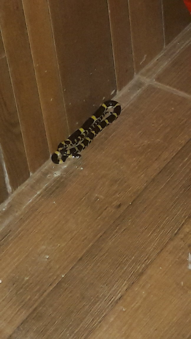 20190930_053342.jpg