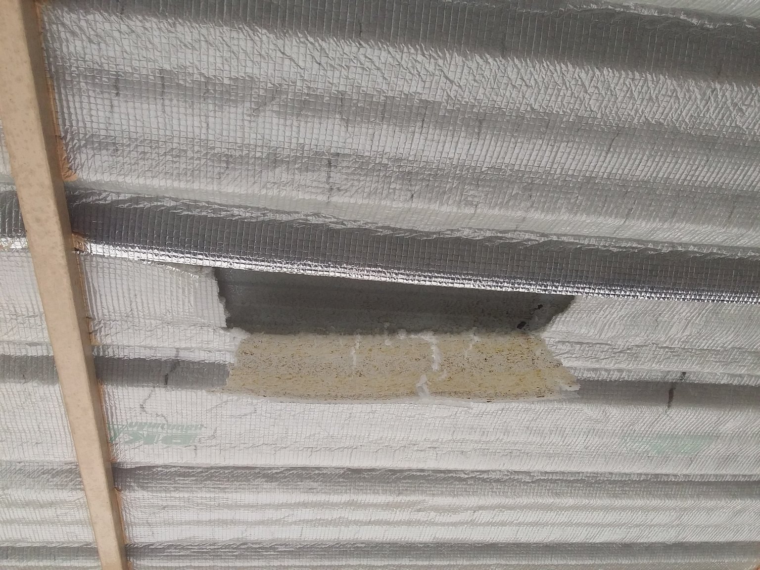 20191007_095452.jpg