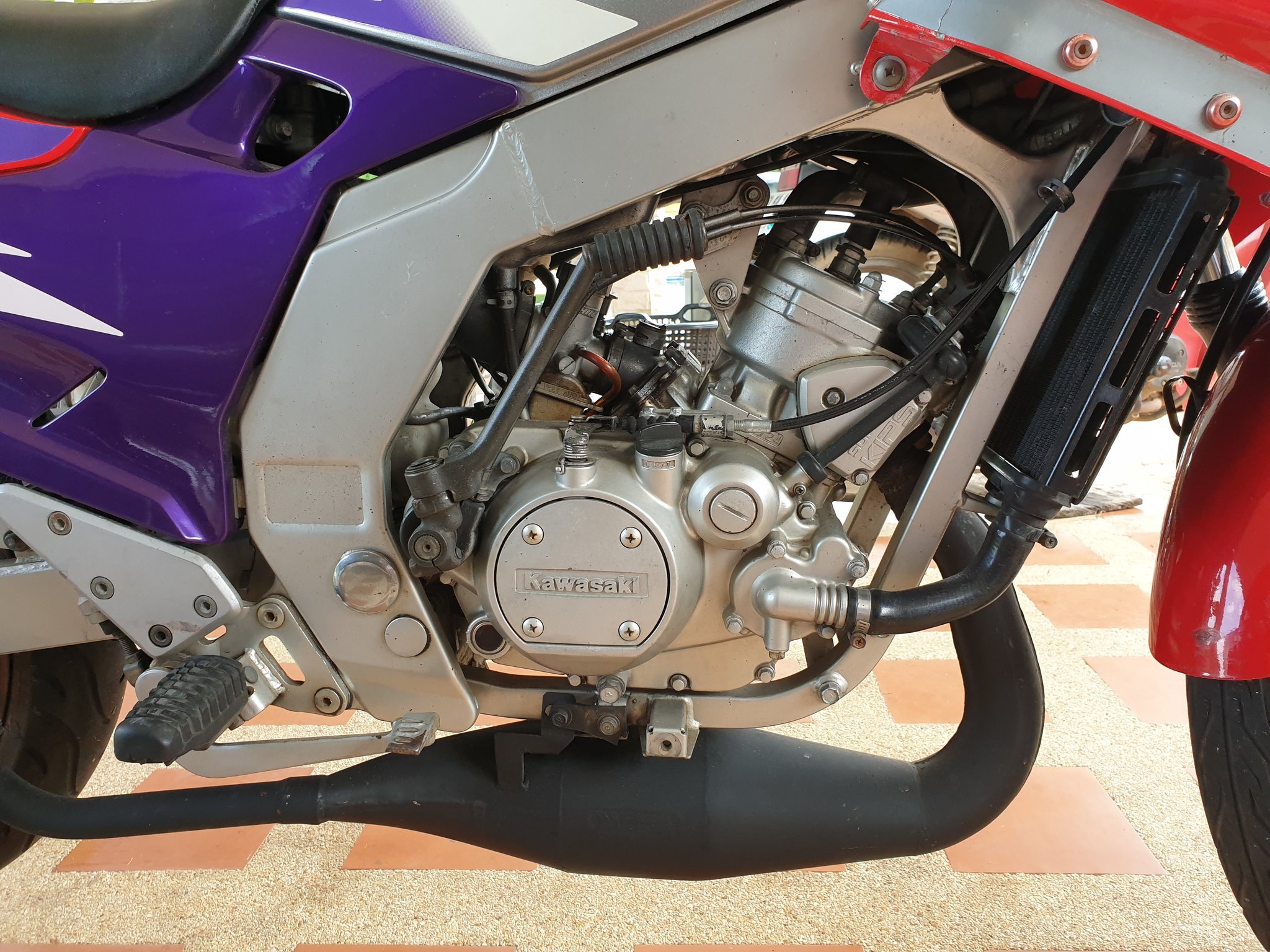 20191027_104305.jpg
