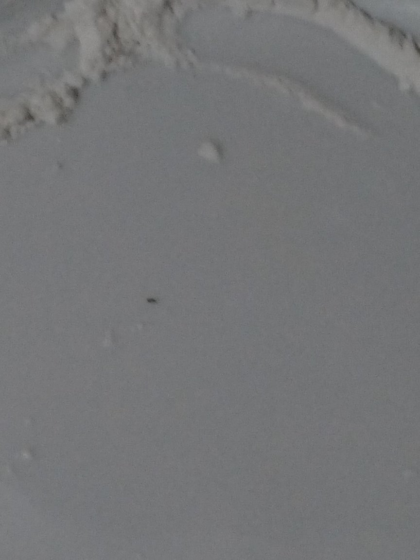 22938.jpg