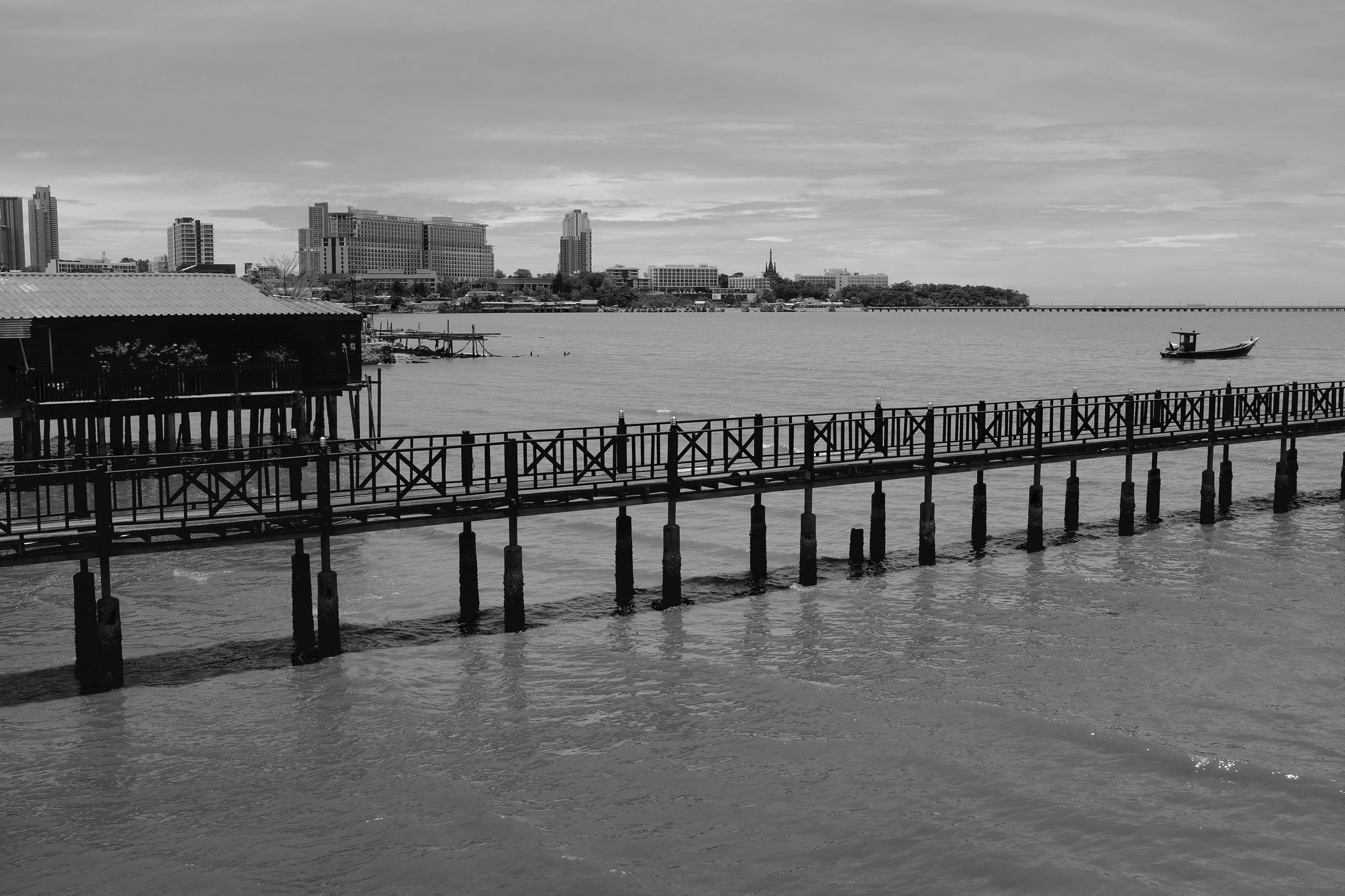 DSCF1008.jpg