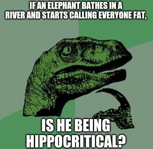 HIPPO.jpg.b5291a88941f6197254faec05ea45e44.jpg