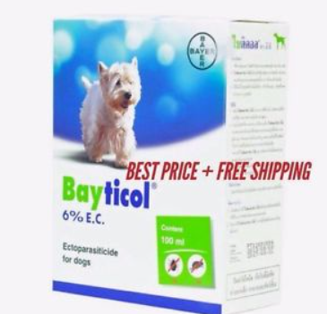 image.png.842b359aaee4db8f12587bc060b9365a.png