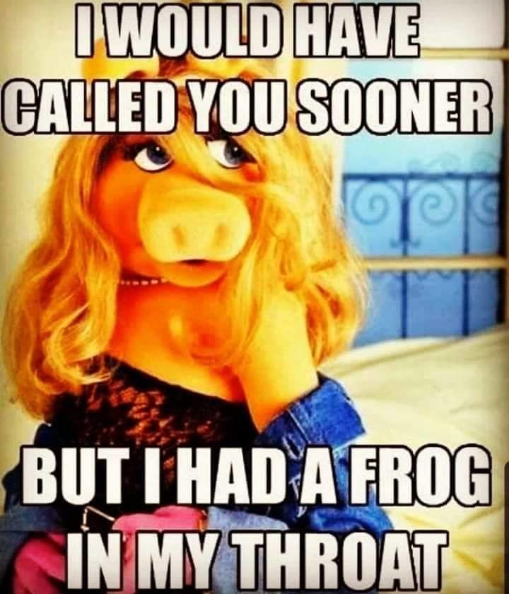 kermit.jpg.9f0025226101ce43d330c0b79ffdeaad.jpg