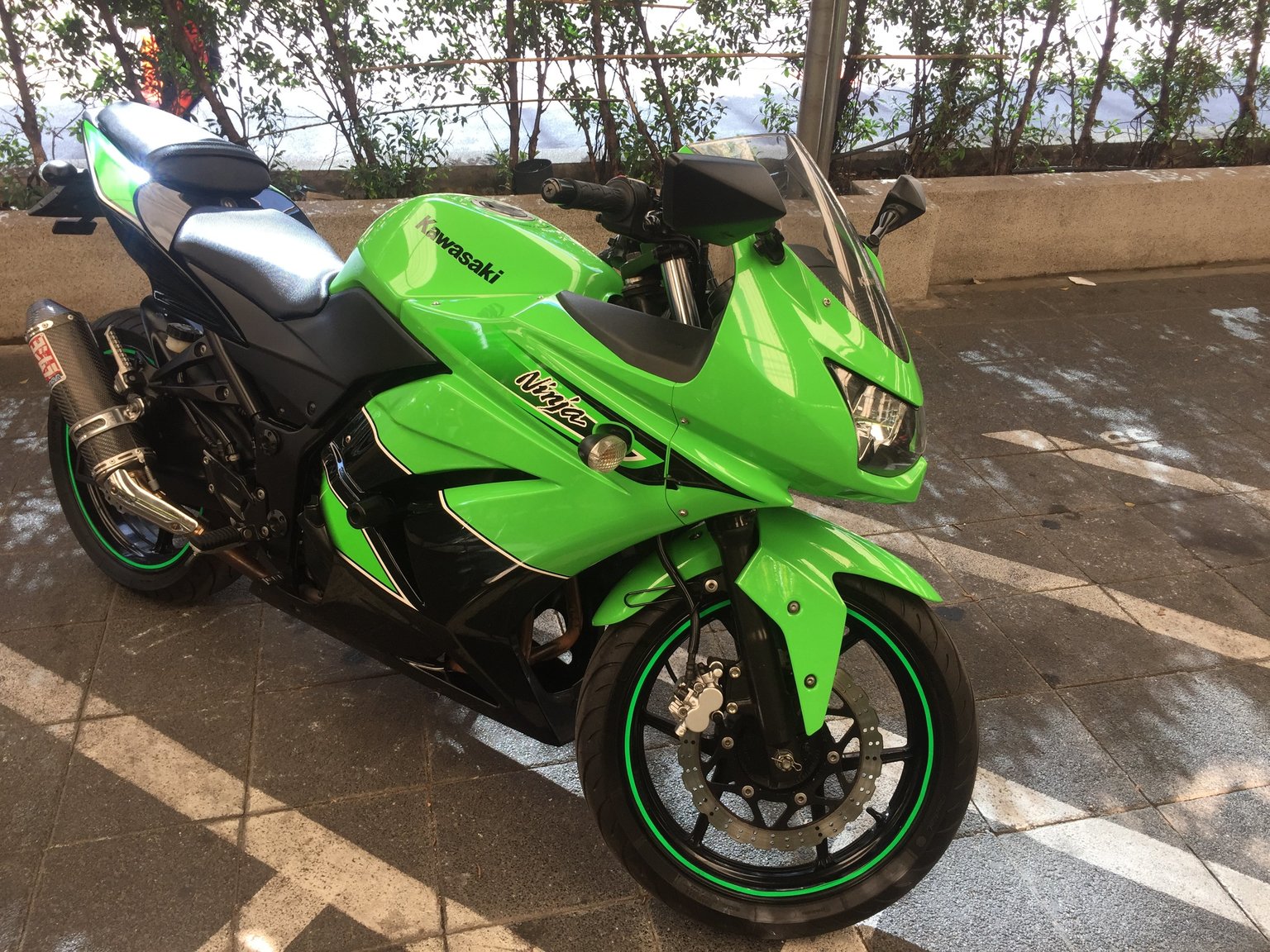 My Ninja - 05.JPG