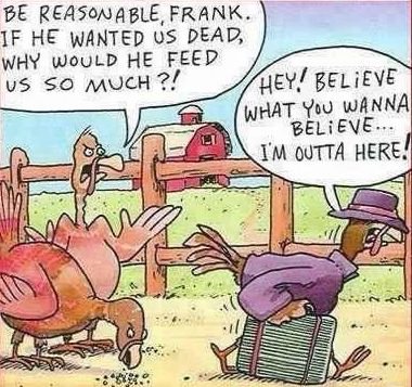 1667141281_thanksgiving-turkeyfattening.jpg.ade3264f405def56e0c2f9430e3b86eb.jpg