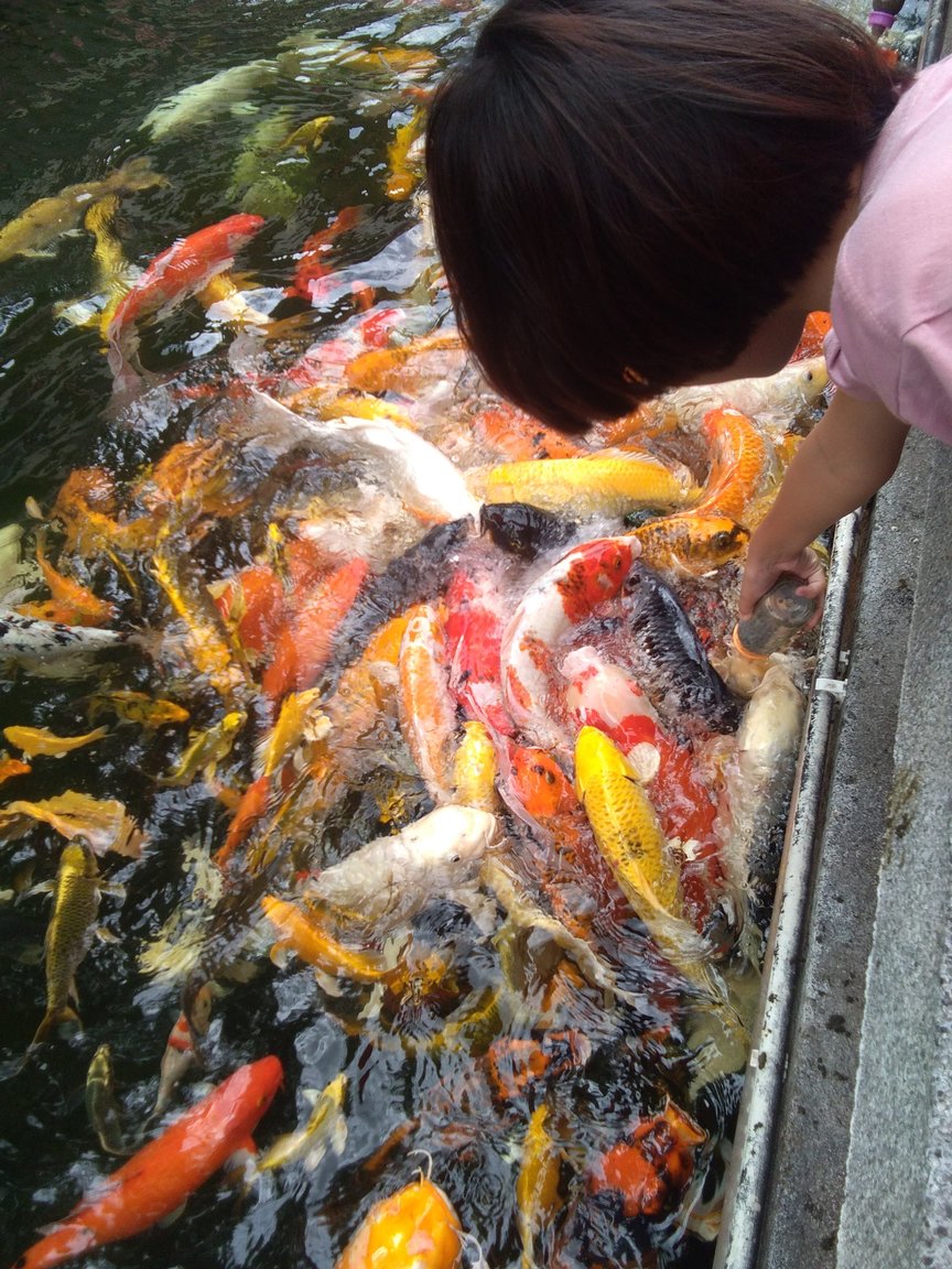 1685268614_KoisinUdon.thumb.jpg.60ab1ad0dbff506940654522df41df3c.jpg
