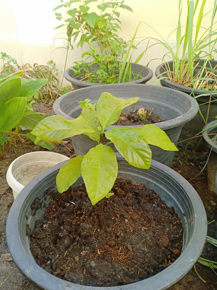 2019-11-20 08.59.02.jpg