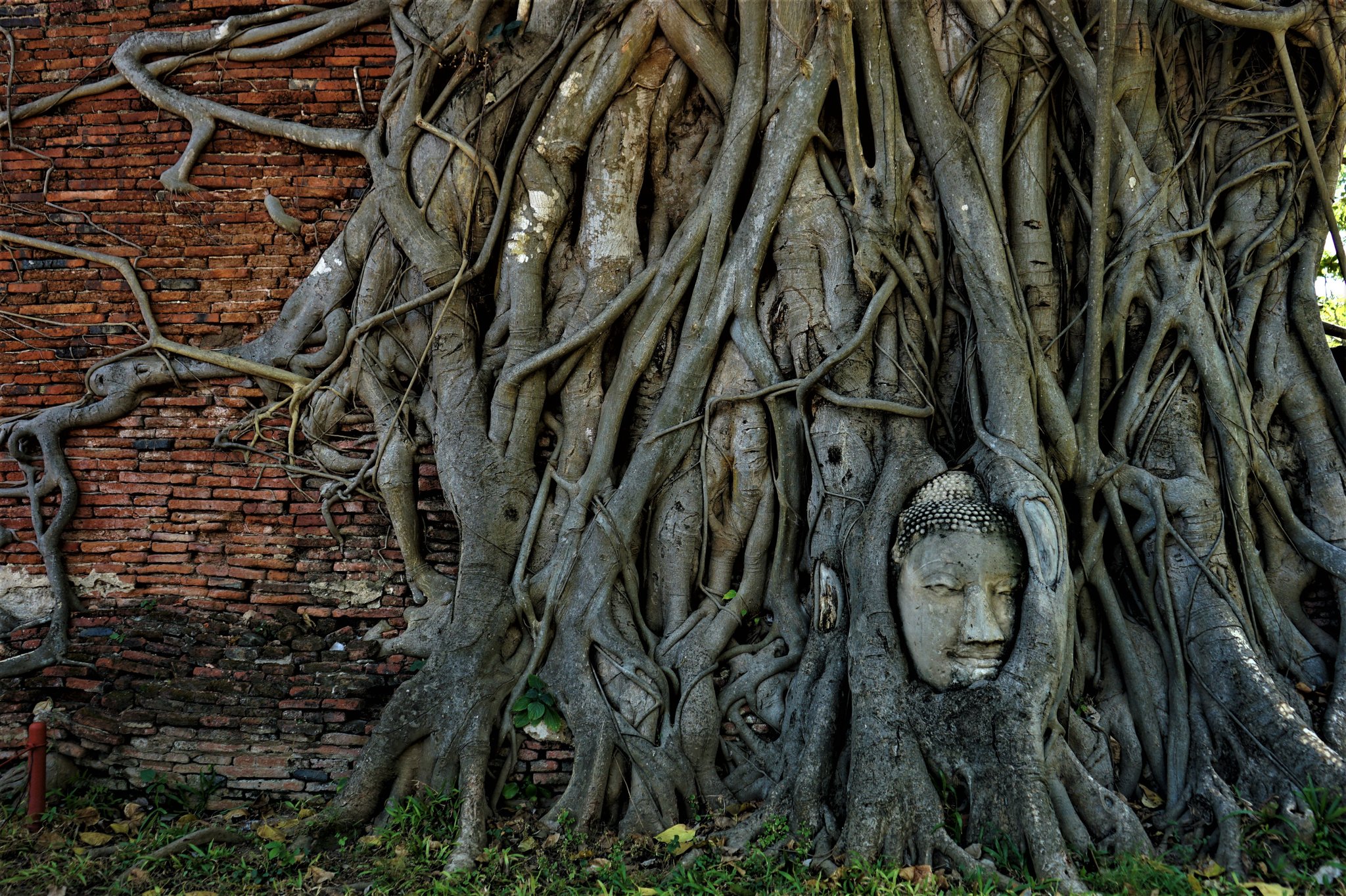 Wat Mahathat.JPG