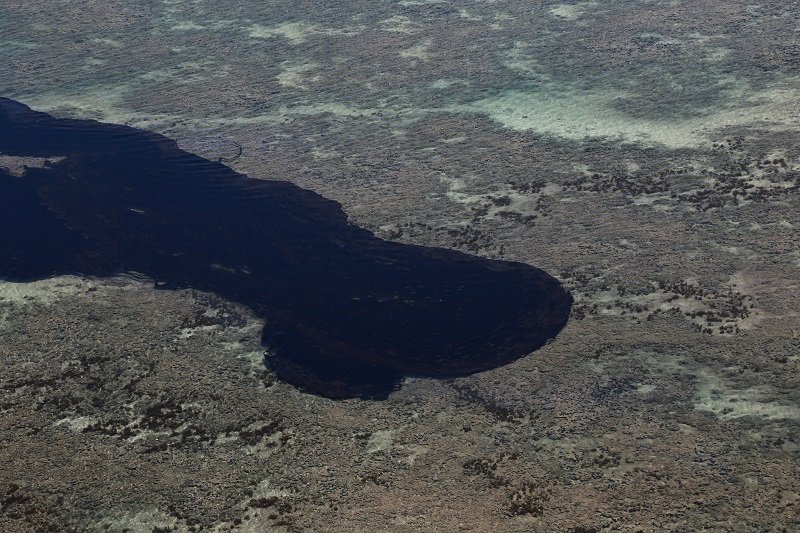 2019-11-01T142851Z_1_LYNXMPEFA030U_RTROPTP_4_BRAZIL-OIL-SPILL.JPG