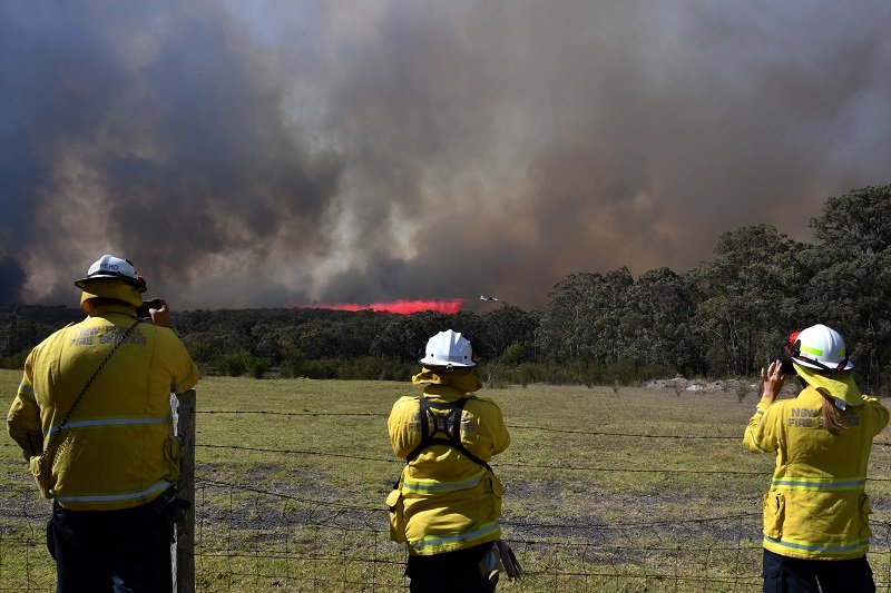 2019-11-16T020230Z_1_LYNXMPEFAF019_RTROPTP_4_AUSTRALIA-BUSHFIRES.JPG