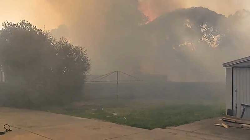 2019-11-21T010416Z_1_LYNXMPEFAK01O_RTROPTP_4_AUSTRALIA-BUSHFIRES.JPG