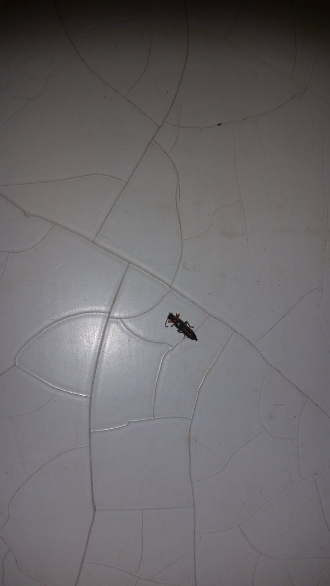 20191201_011545.jpg