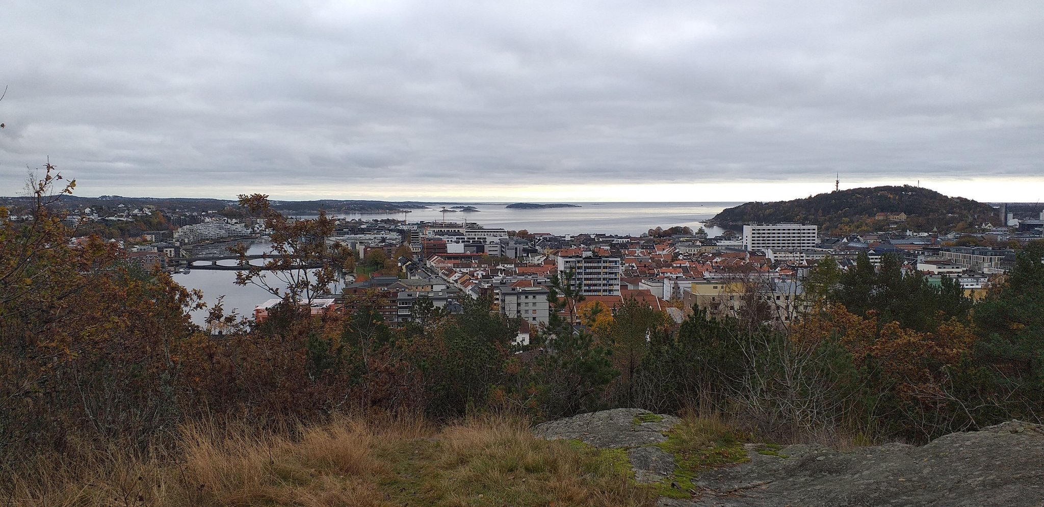 2019-10-21 14.46.57.jpg