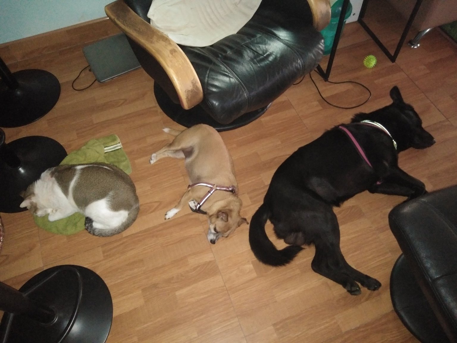 Kids had a rough nite..jpg