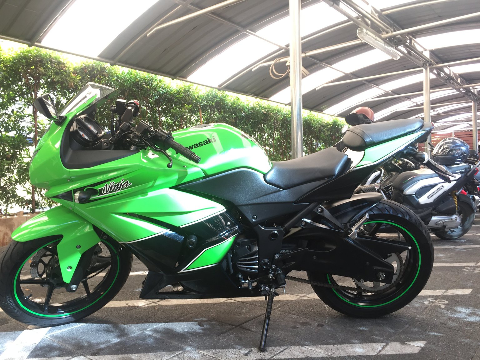 My Ninja - 02.JPG