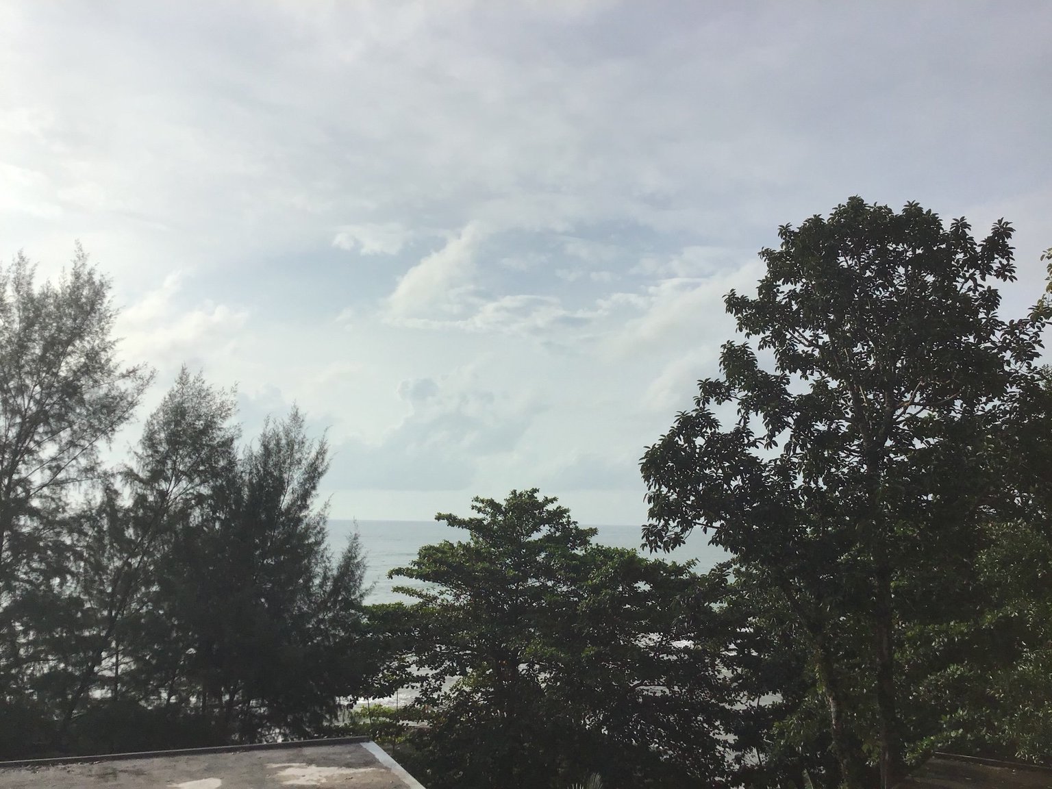 46D6DE57-1E88-4F1B-900D-67A1A2223E03.jpeg